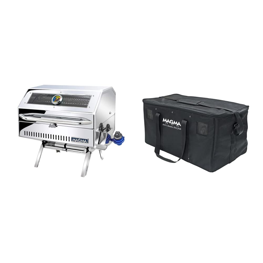Gas Grill with Carrying Storage Case H567
