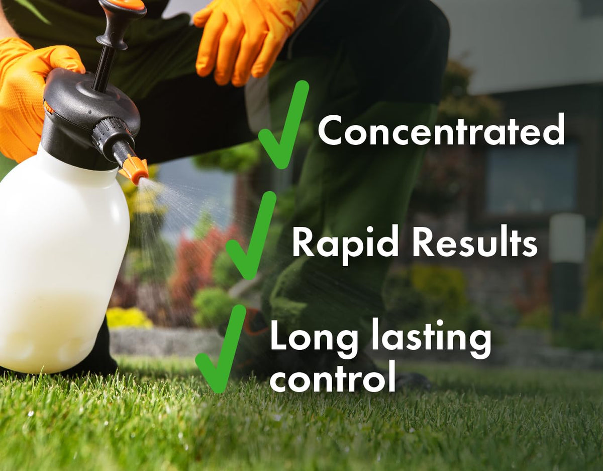 Concentrated Broad Spectrum Lawn Weed Killer B409