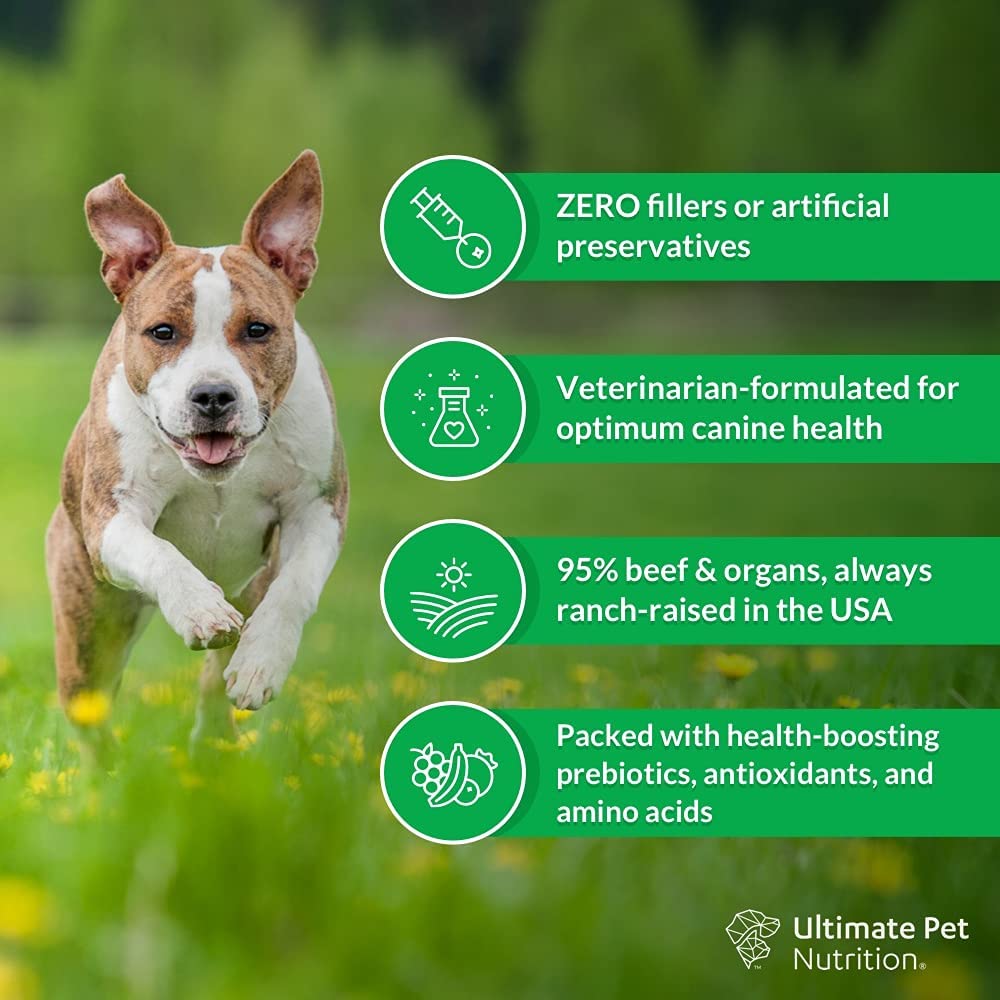 Freeze Dried Raw Dog Food with Antioxidants Prebiotics and Amino Acids, 1 Pound Beef P11277