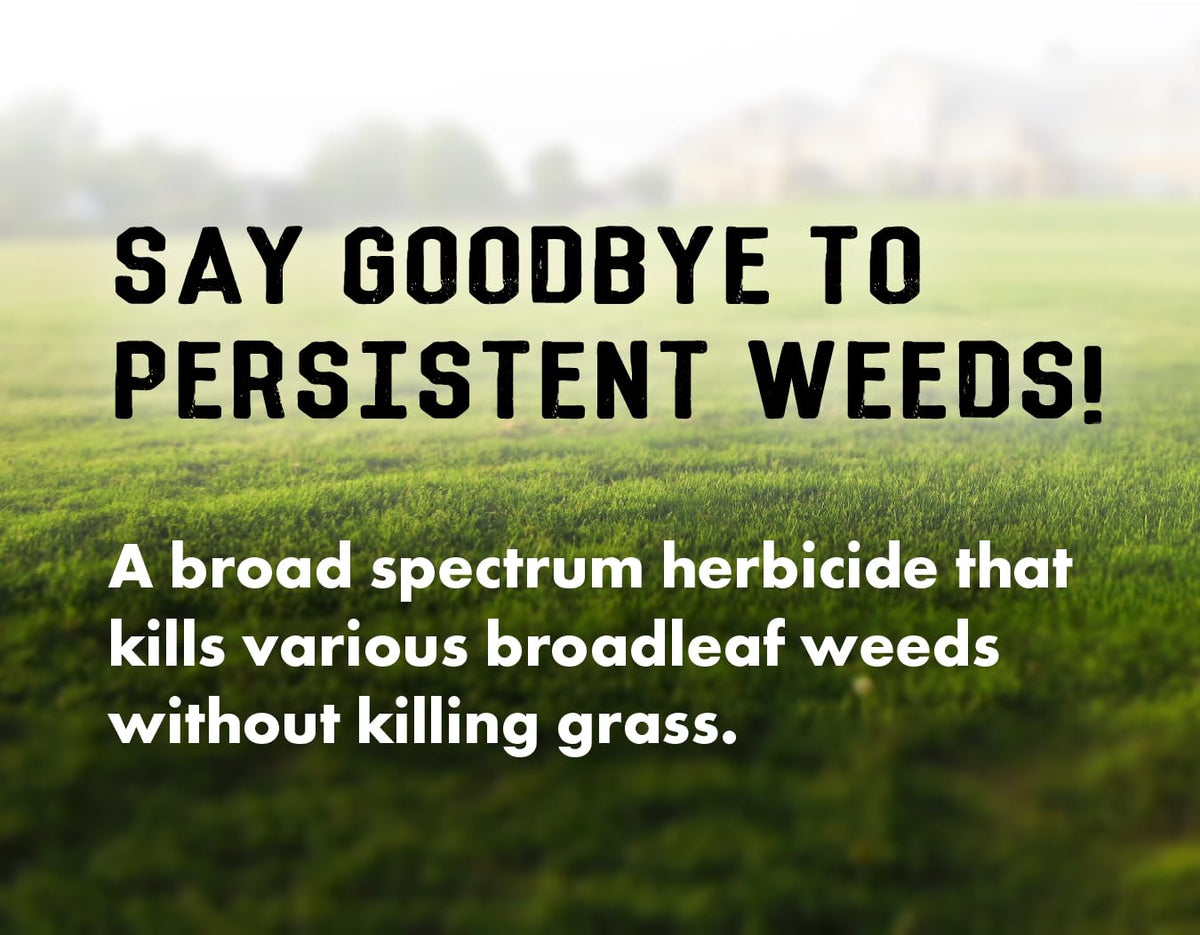 Concentrated Broad Spectrum Lawn Weed Killer B409