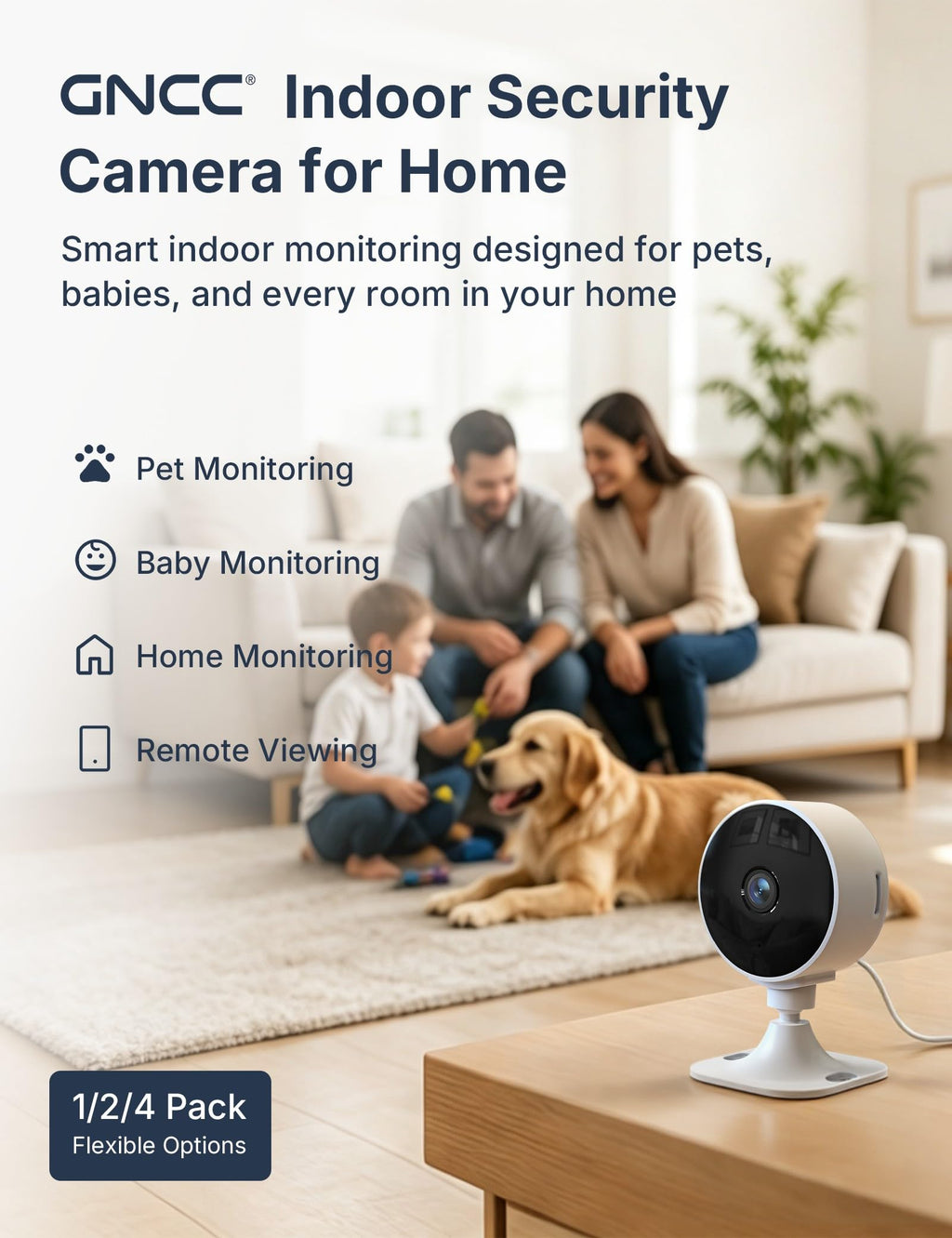 2.4GHz Indoor Security Camera 1080P 2-Pack C358