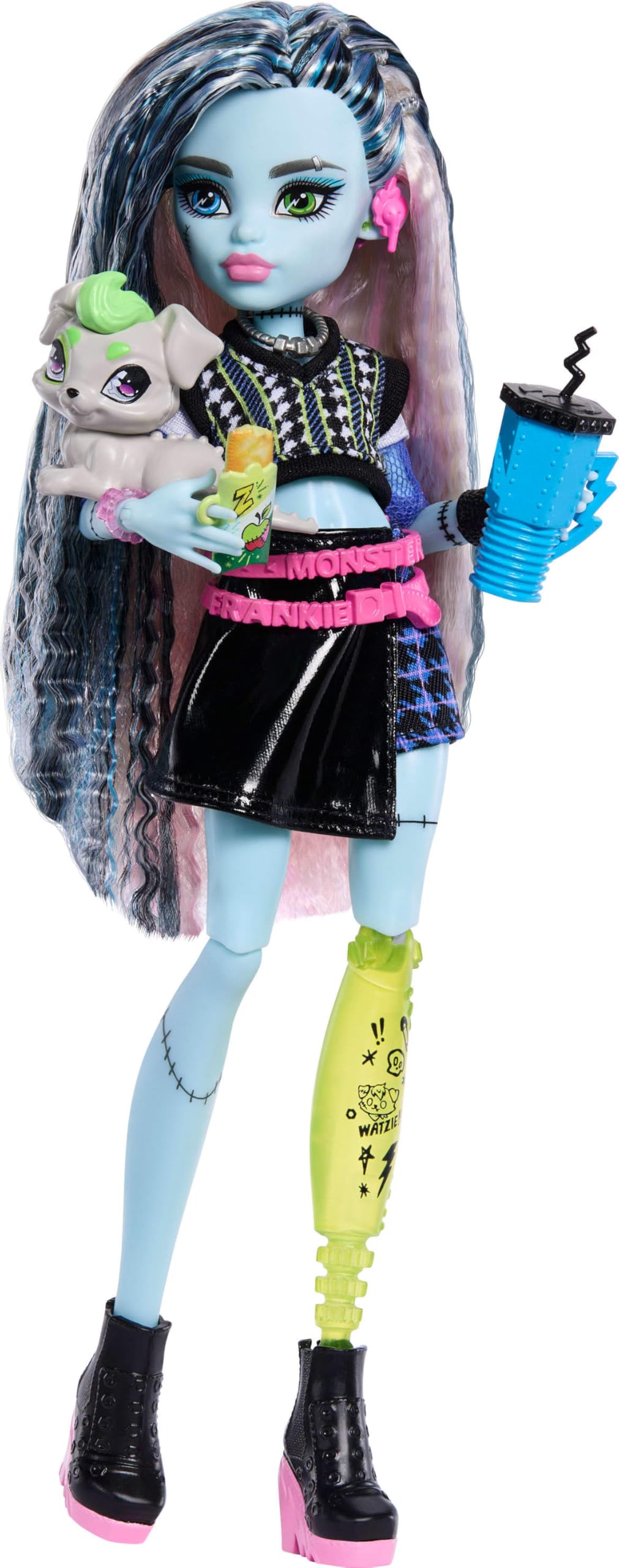 Frankie Stein Doll with Pet Dog Z50539
