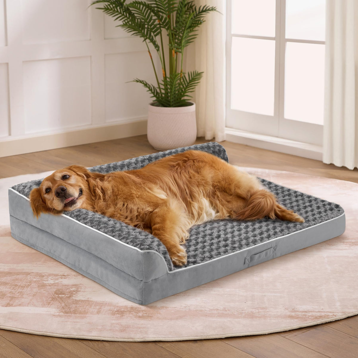 XL Orthopedic Dog Bed Grey C716350