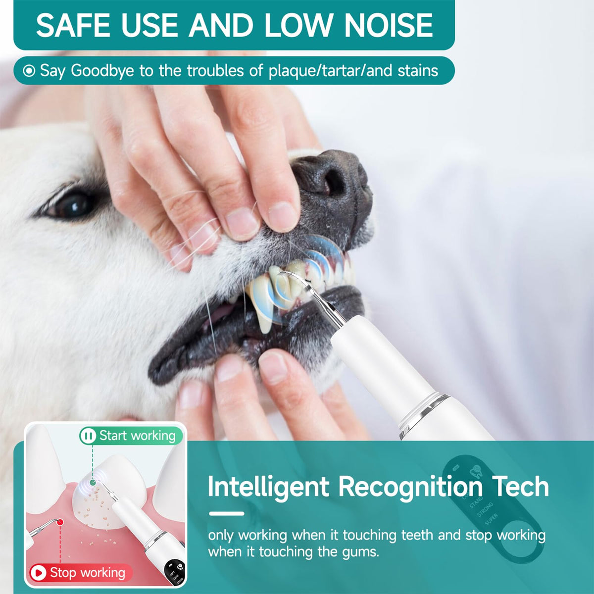 Dog Teeth Cleaning Kit with LED Light 5 Adjustable Modes Electric Toothbrush F394