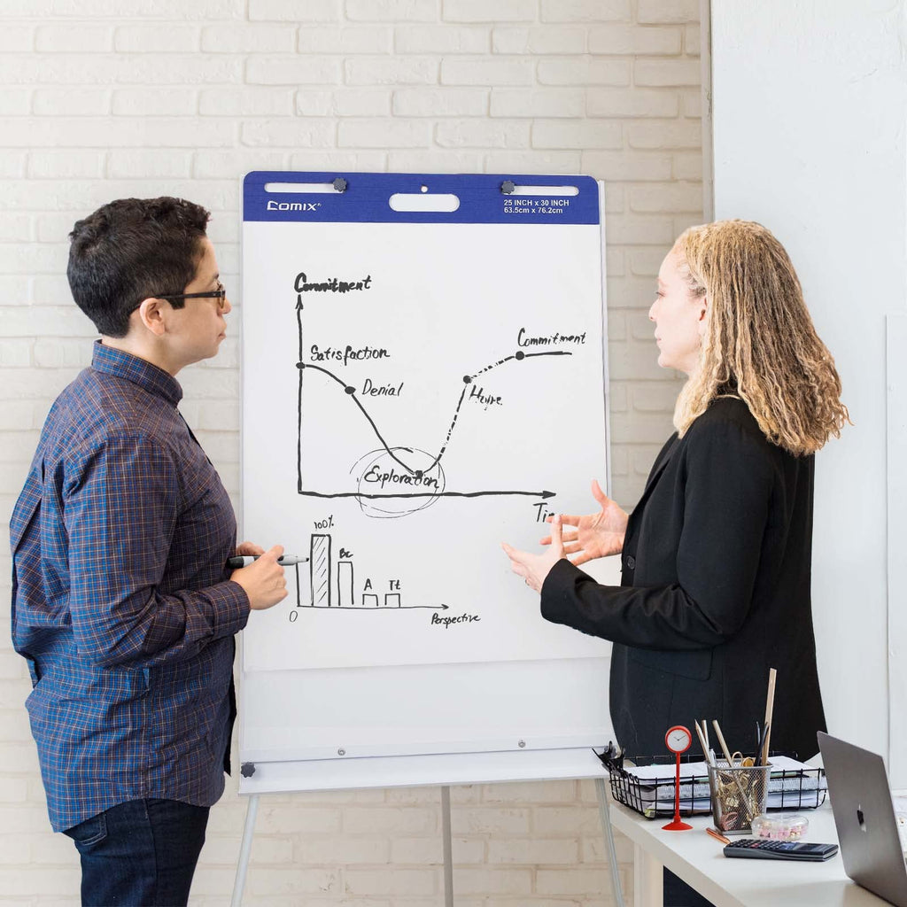 25 x 30 Inch Flip Chart Pad, 30 Sheets, 4 Pads I390