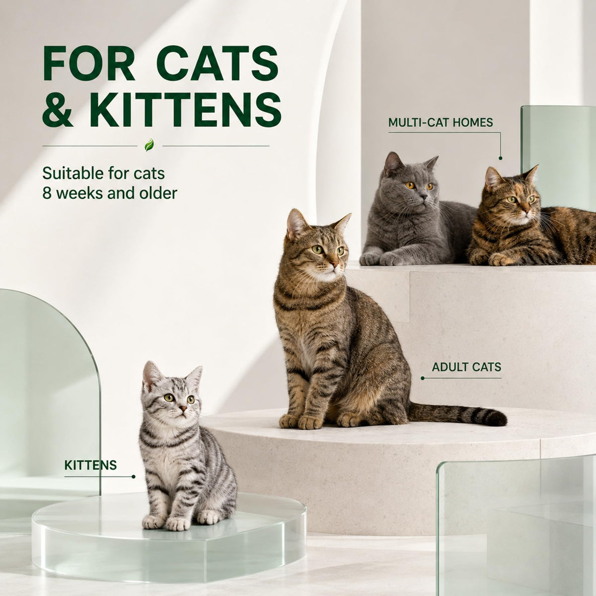 Cat Dewormer for Cats & Kittens V48430
