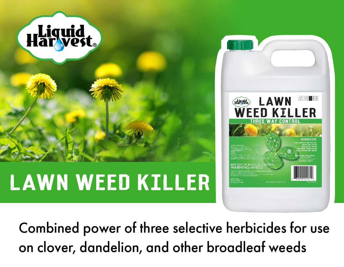 Concentrated Broad Spectrum Lawn Weed Killer B409