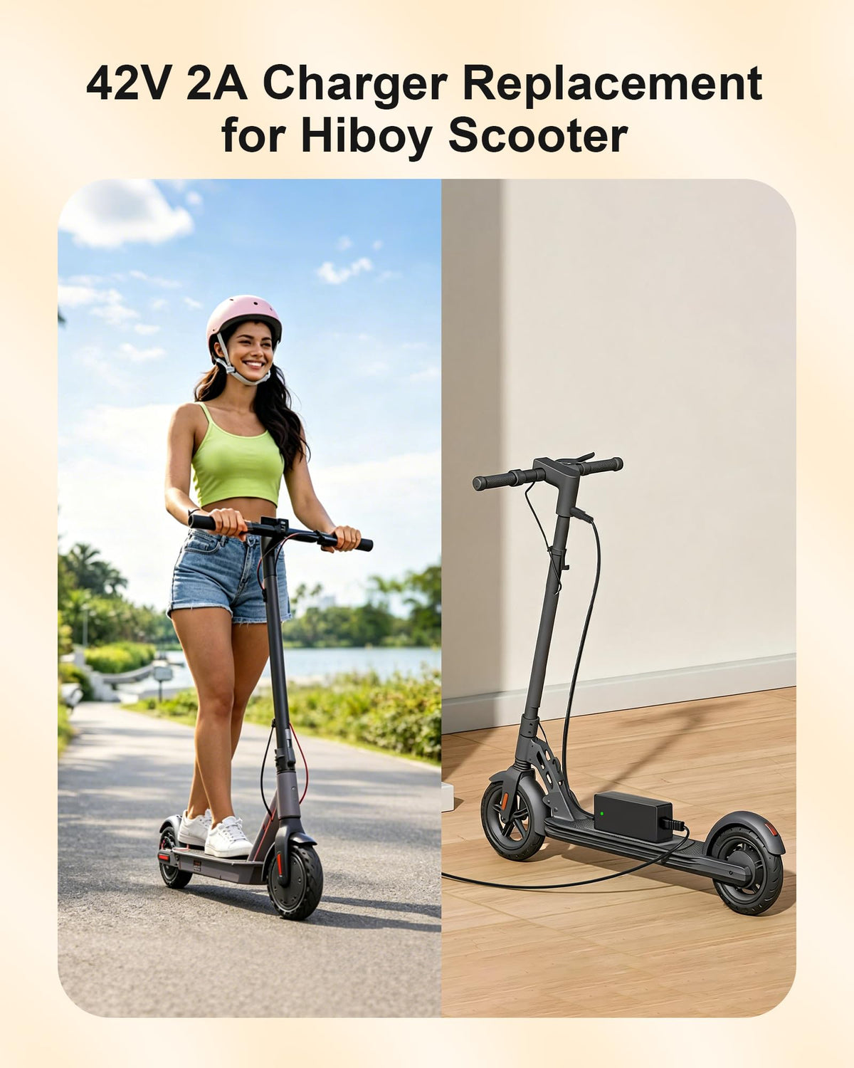 42V Electric Scooter Charger G84897