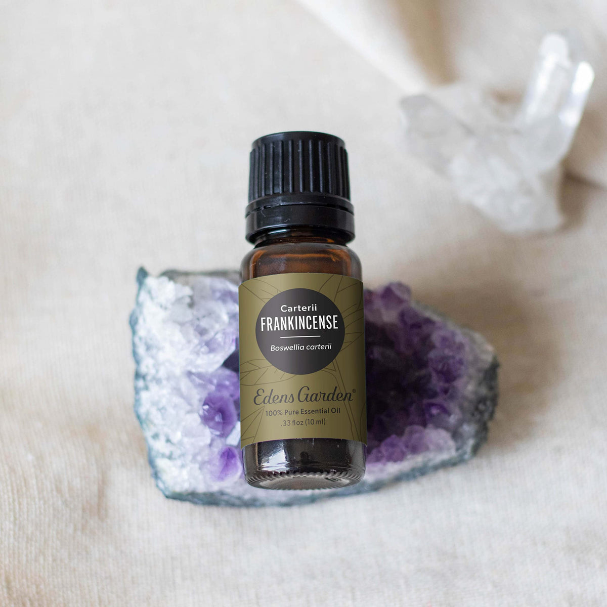 Frankincense Carterii Essential Oil 30 ml V94757
