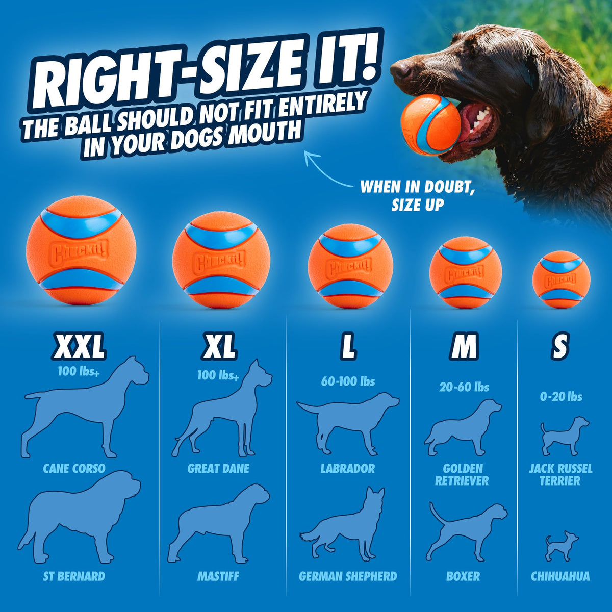 Dog Ball Launcher with 2.5in Ball U525
