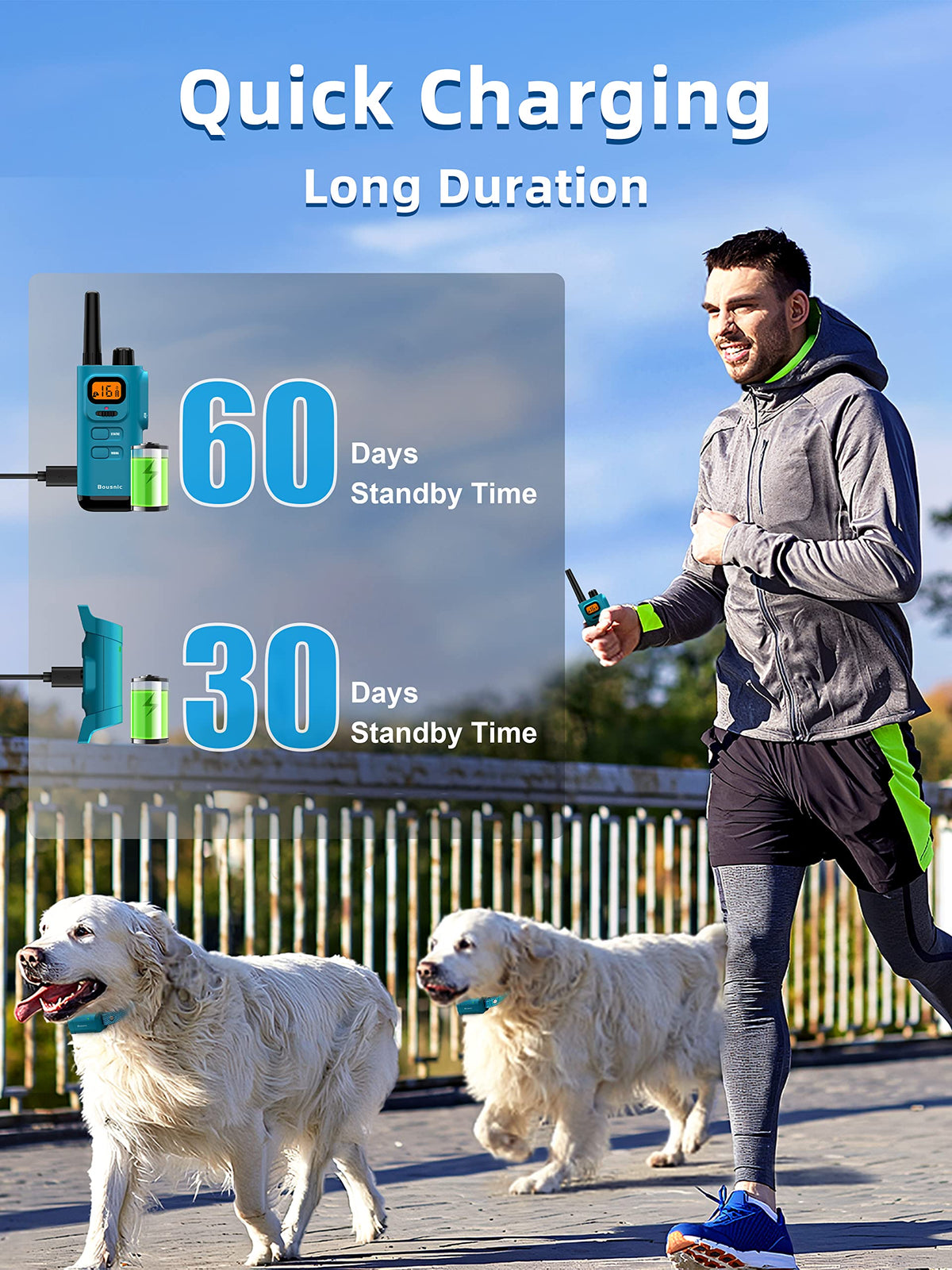 Waterproof Rechargeable Dog Training Collar with Remote H1679