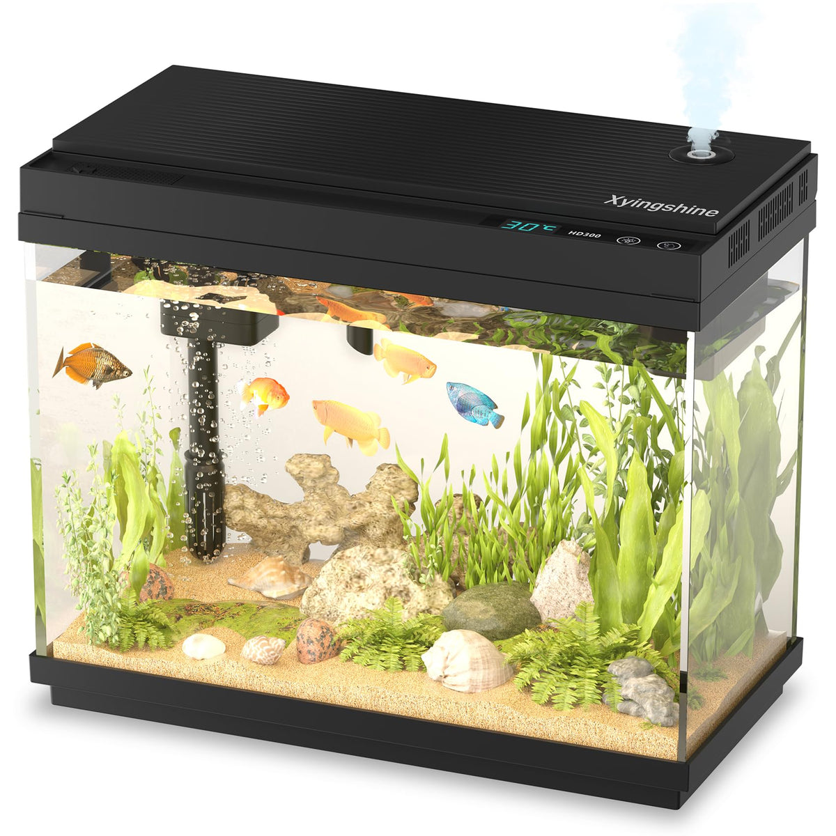 2.5 Gal Self-Cleaning Aquarium Starter Kit X796559