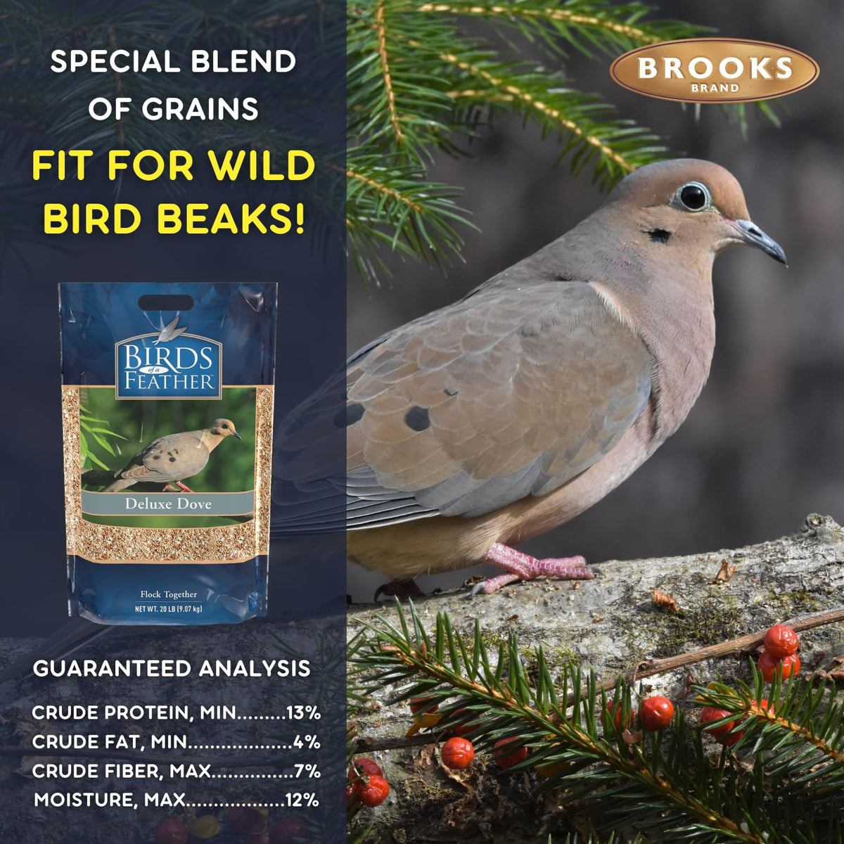 Dove Bird Seed 20 Pound H9732