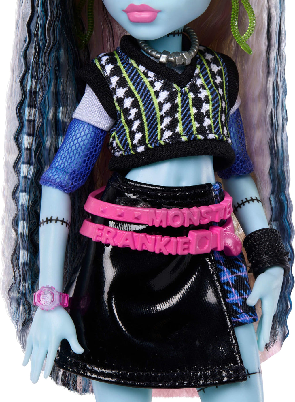 Frankie Stein Doll with Pet Dog Z50539