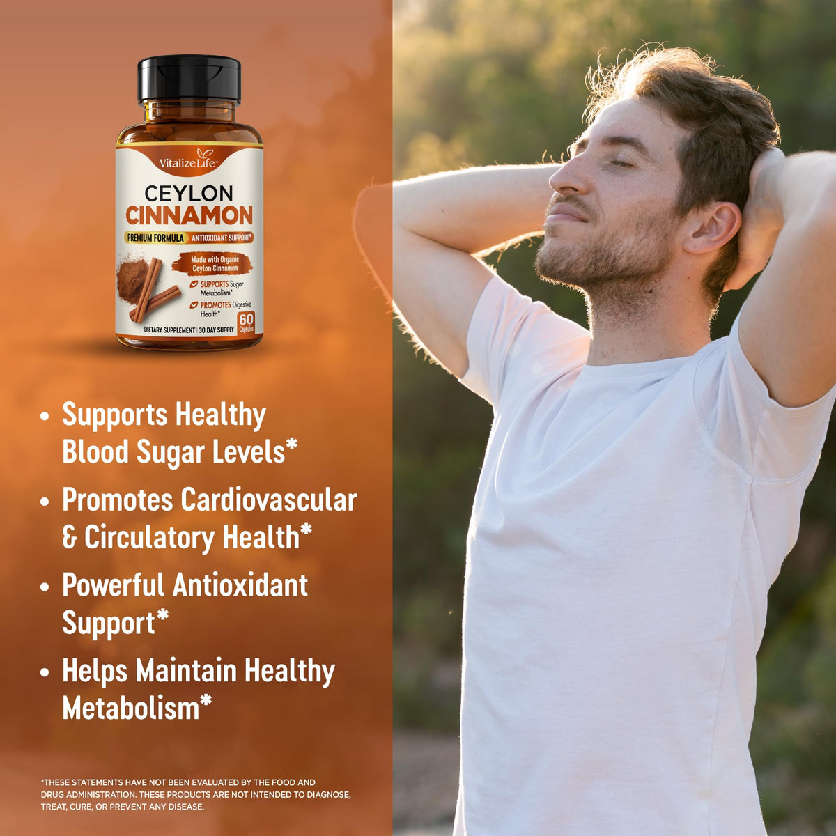 Organic Ceylon Cinnamon 1200mg 60 Vegan Capsules Q167