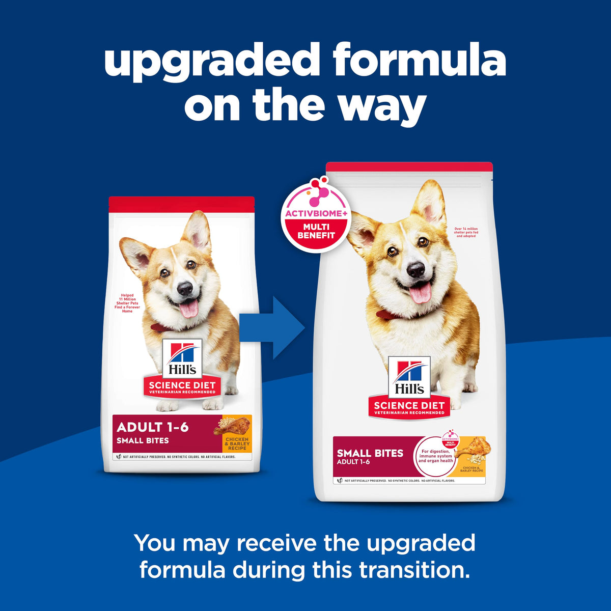 Dry Dog Food E3163