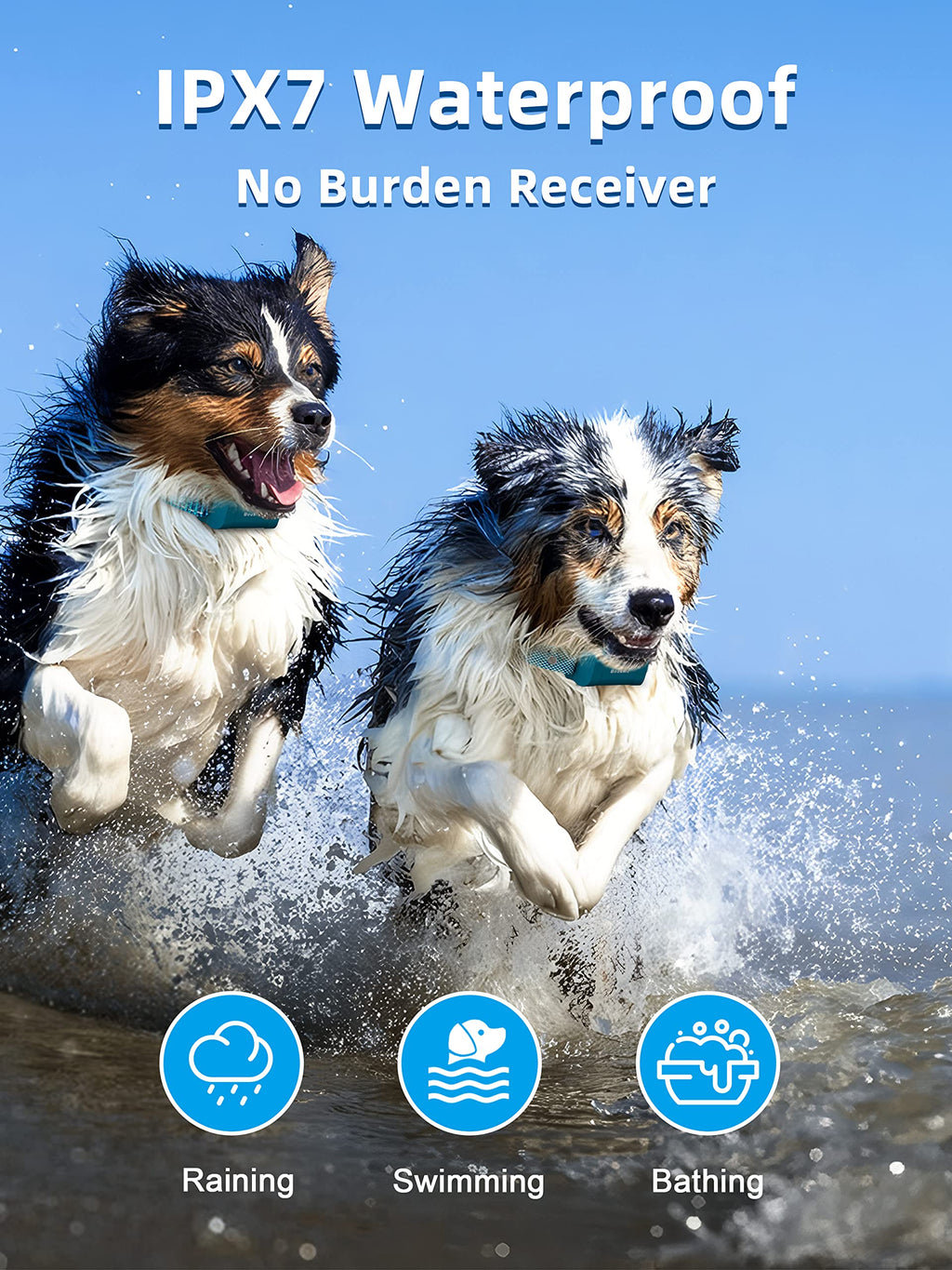 Waterproof Rechargeable Dog Training Collar with Remote H1679
